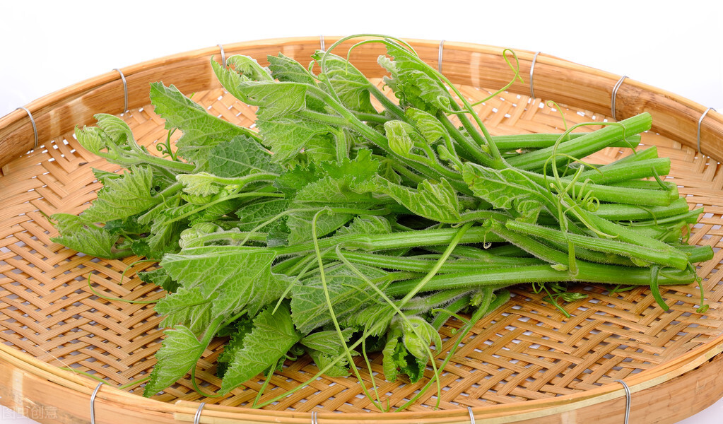 種這種綠葉菜，栽培輕松，畝產(chǎn)值過萬元，菜農(nóng)表示很劃算