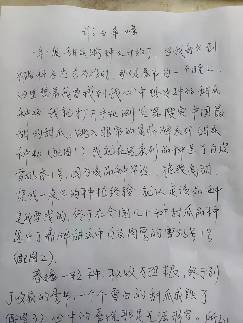 河南焦作的李向林今年種植甜瓜新品種，客戶直接拉貨走人