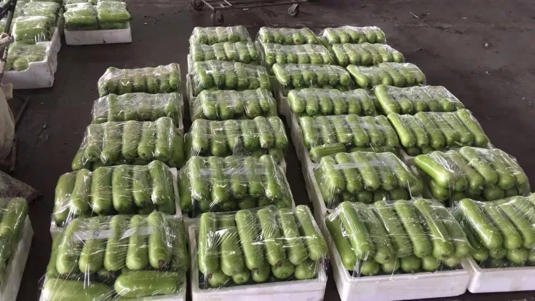 這個品種上市早，價格好！我連續(xù)種了三年，滿意
